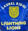 lightning lions logo